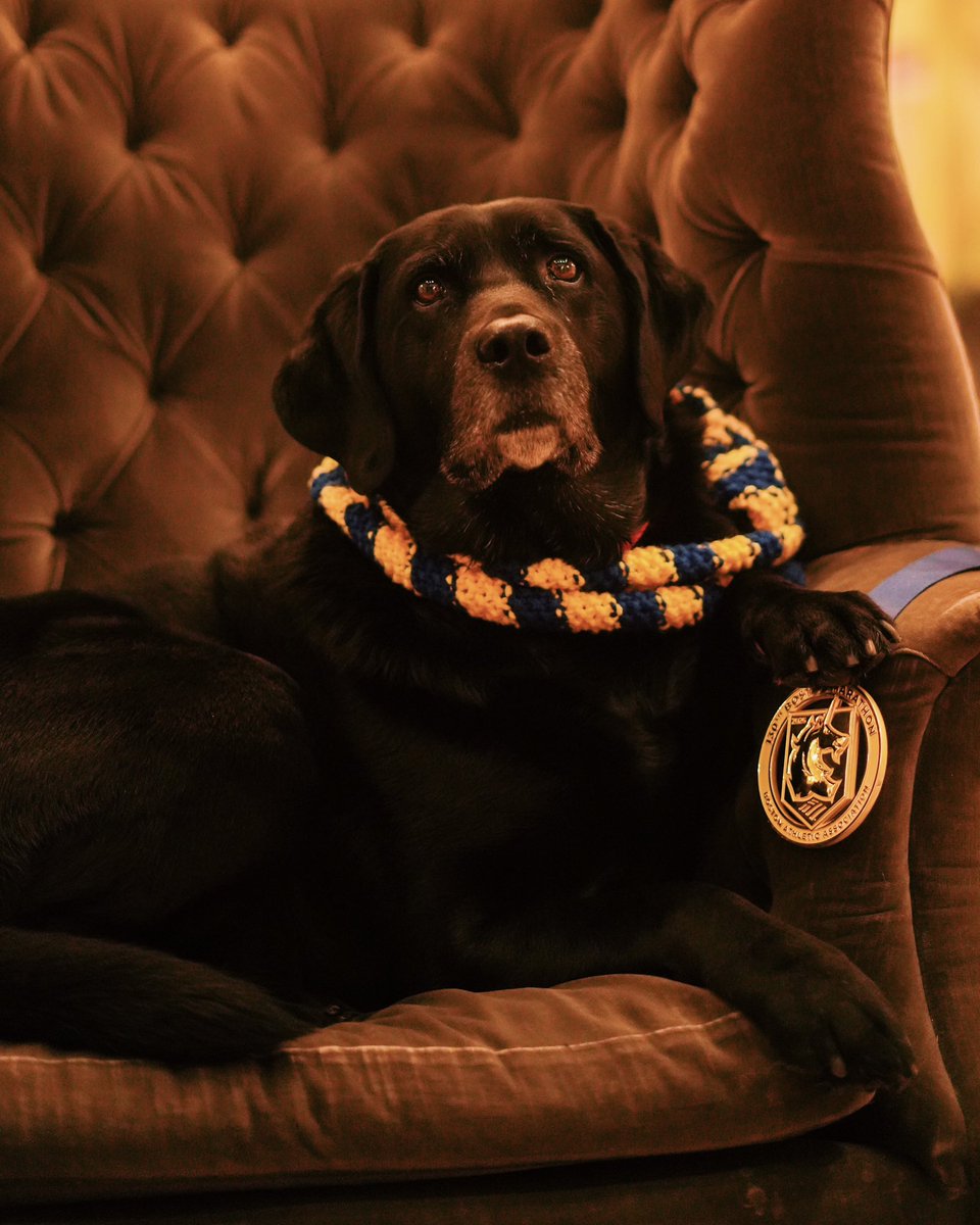 Boston Marathon tweet media