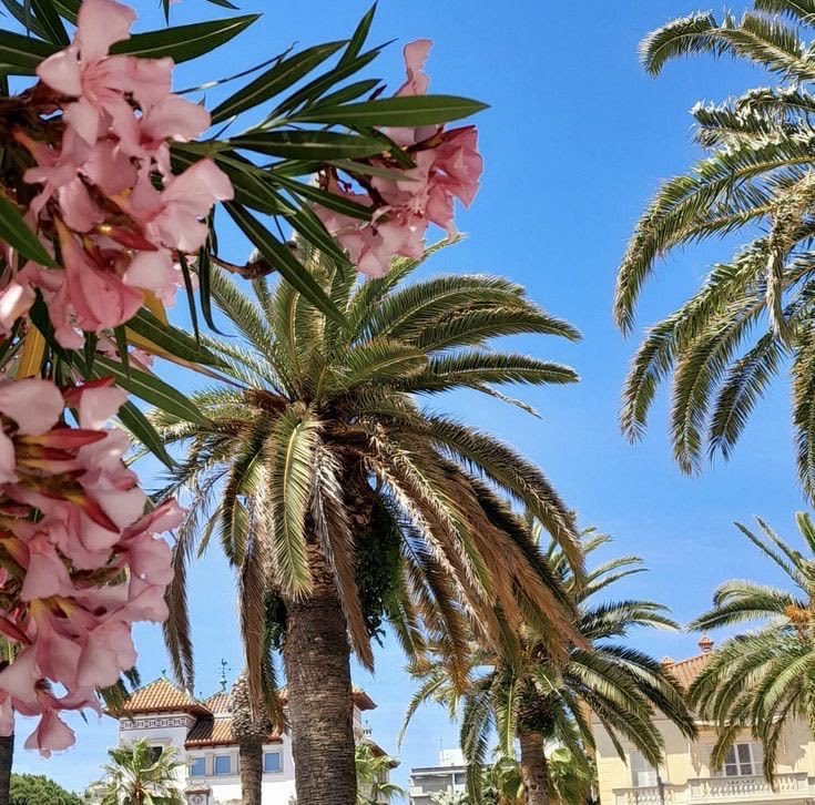 𝙈𝙖𝙧𝙮 tweet media