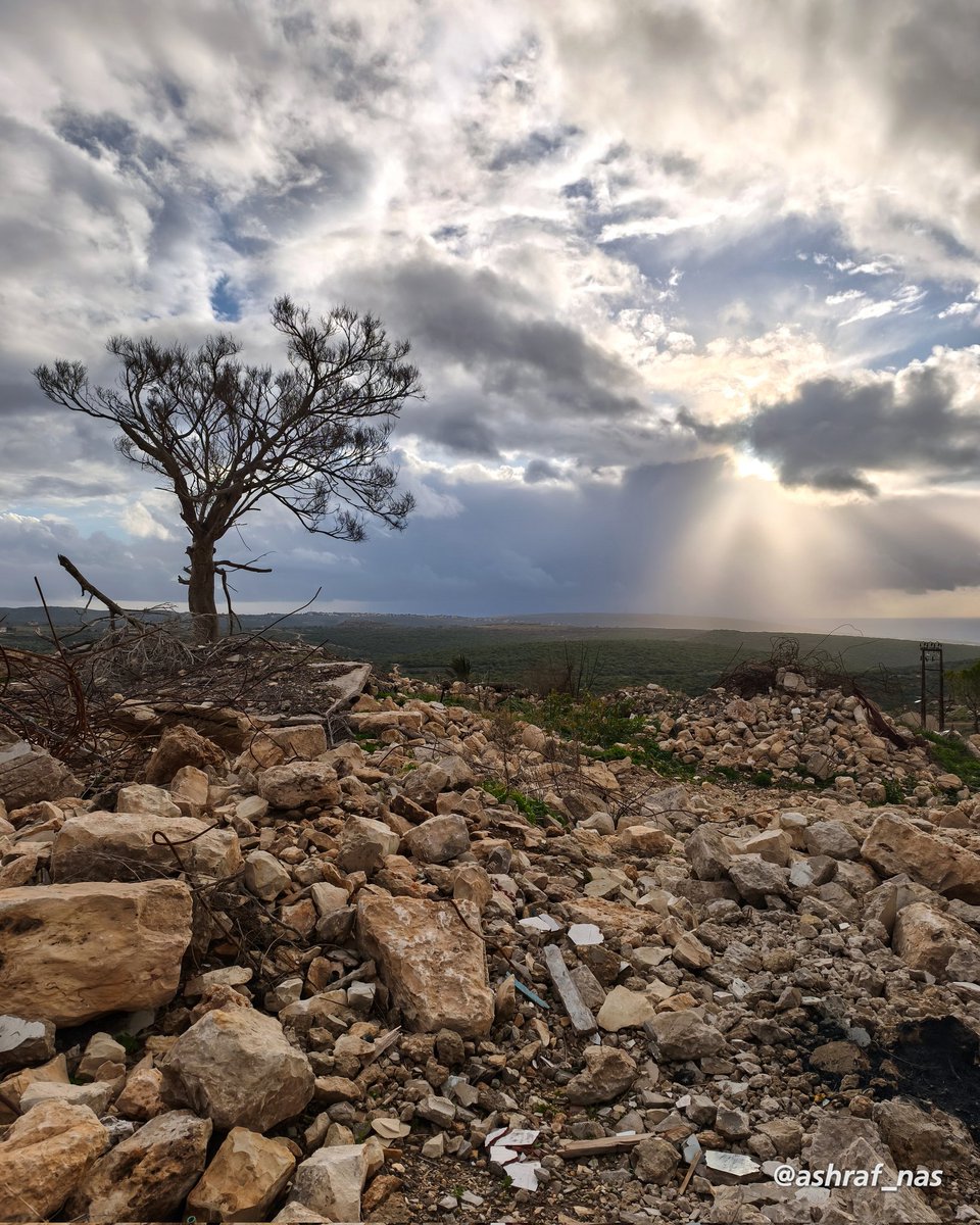 Ashraf Nasrallah tweet media