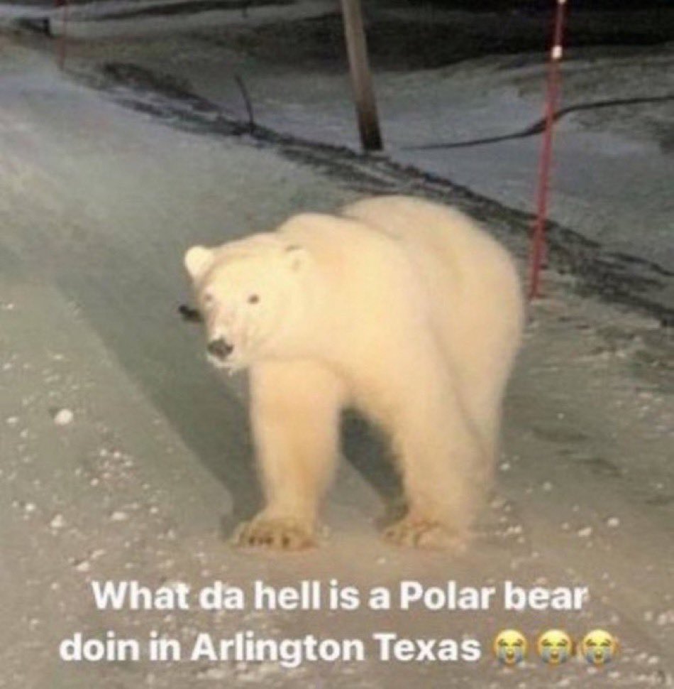 STG | Ronnichu tweet media