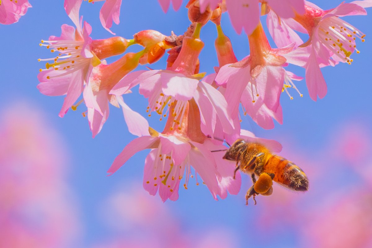 Andy Spessard tweet media