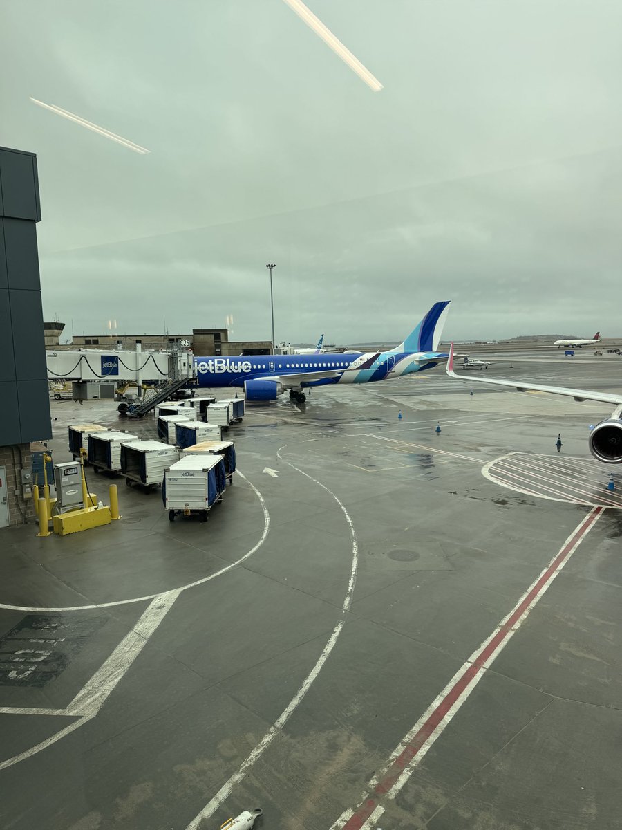 Marcos Grunfeld 🇮🇱 tweet media