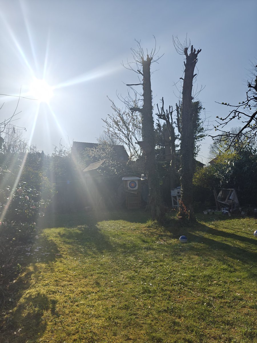 Rubix NG tweet media