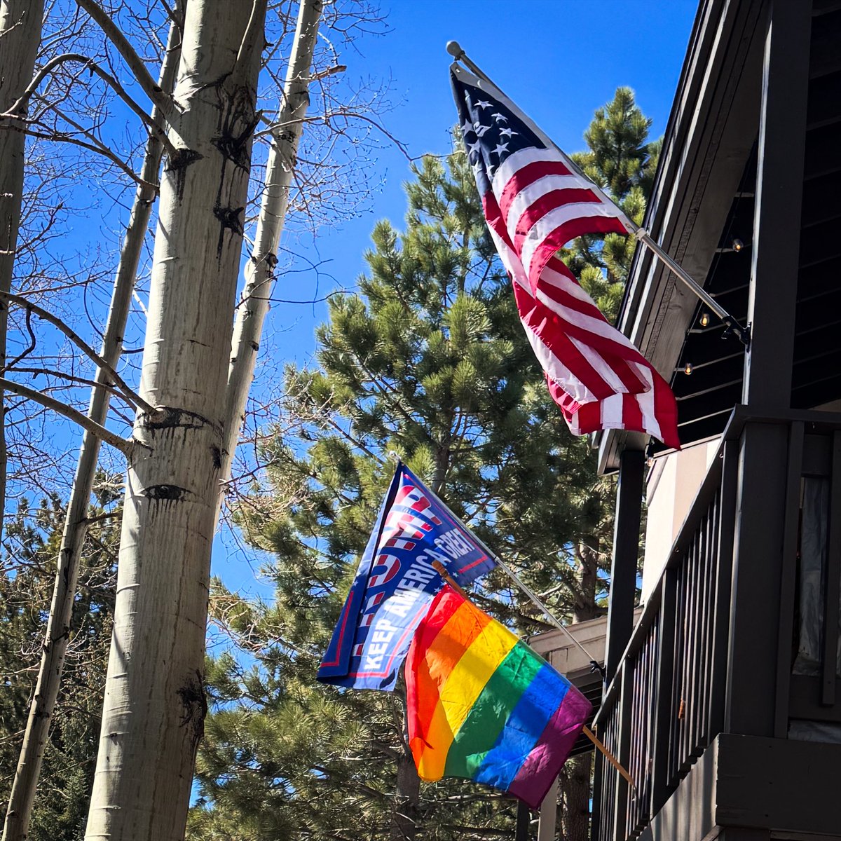 MAGA Daddy tweet media