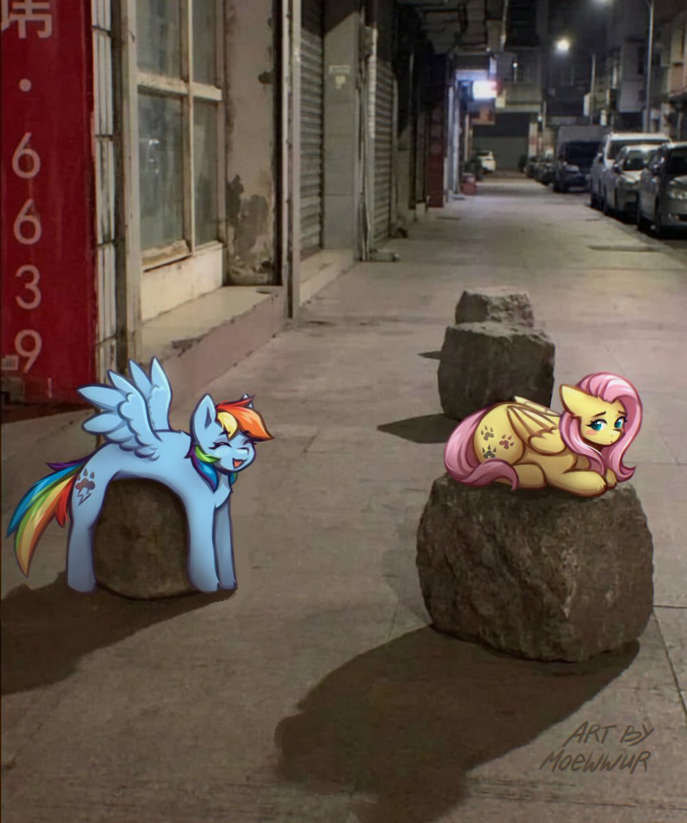 Chisё 🎠 tweet media