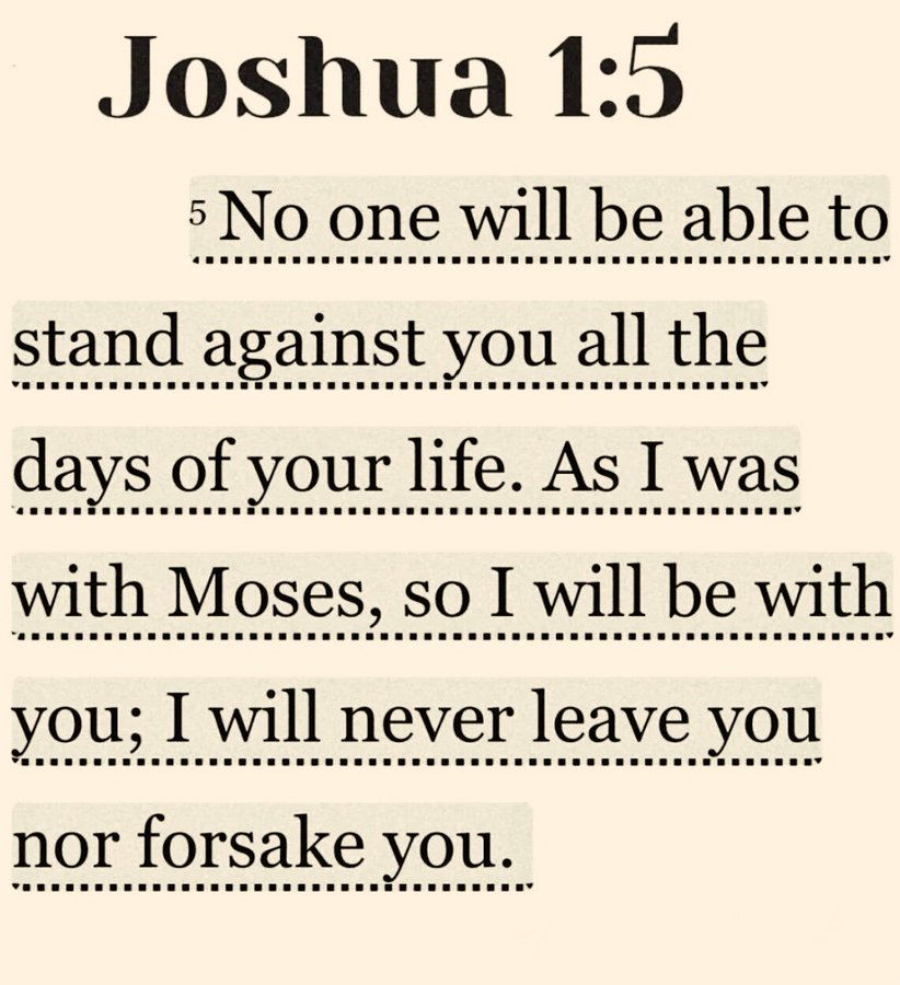 Bible 365 tweet media