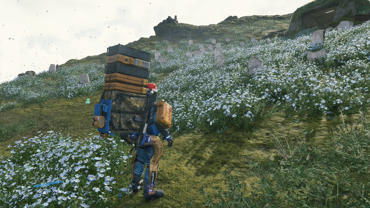 🏳️‍🌈🎮Marcia Louro Fialho 🇵🇹🇨🇭 tweet media