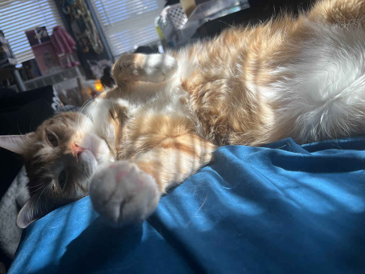 catrick swayze & donnie tweet media