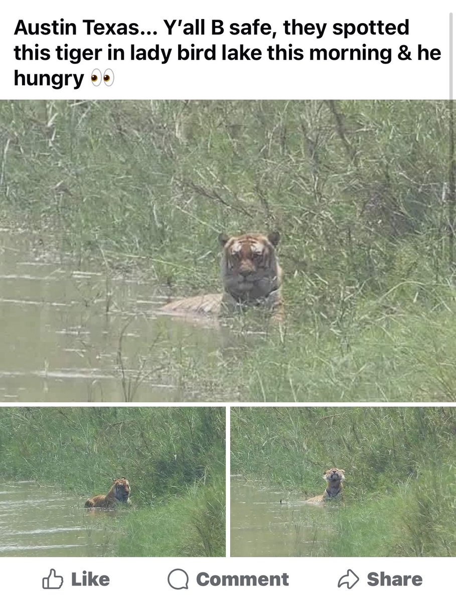 Peelander-Yellow!!! tweet media