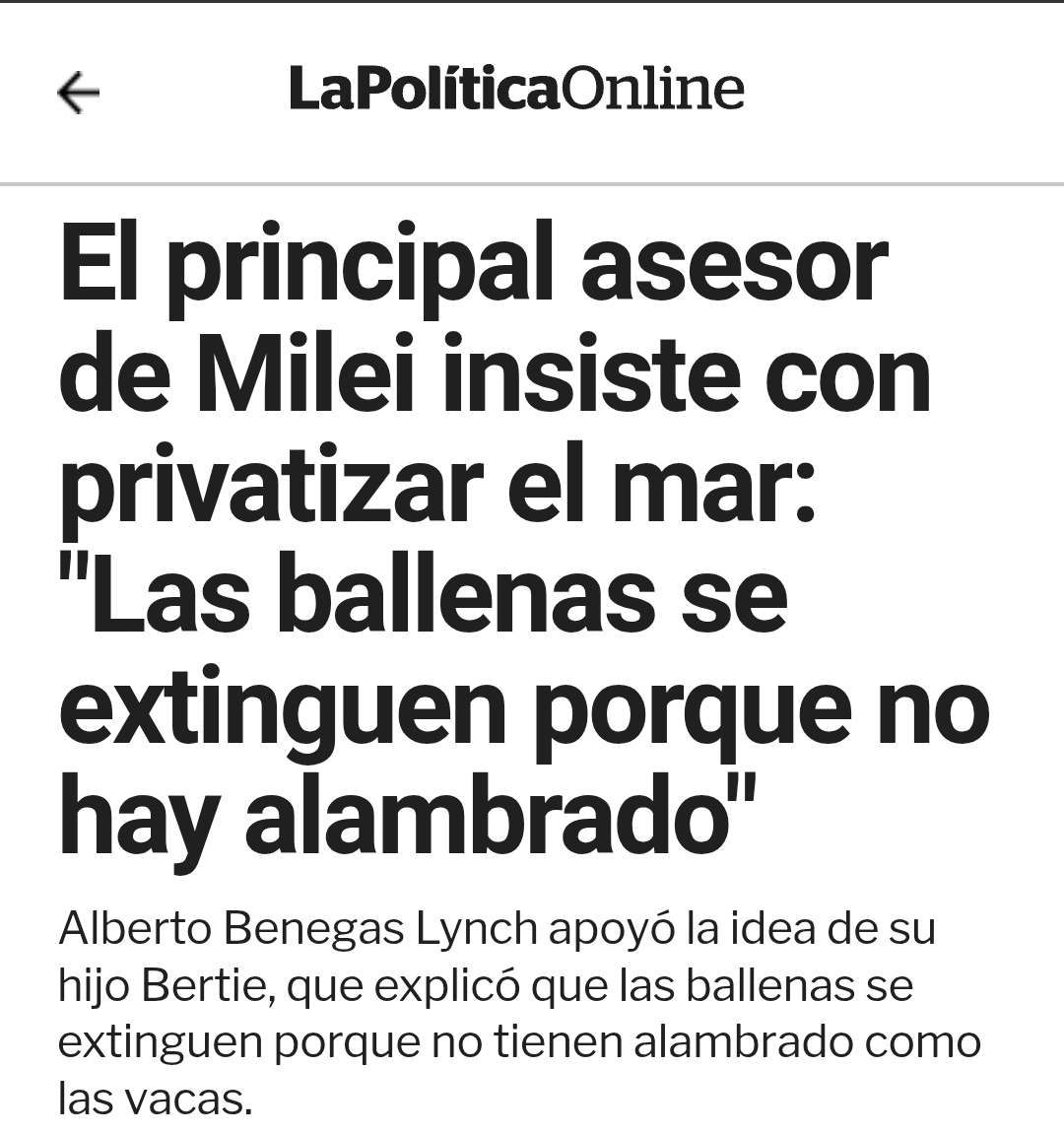 Demetrio Claudio tweet media