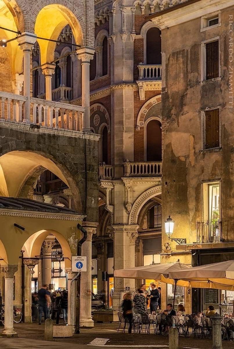 Magnifica Lounge 🫐 tweet media