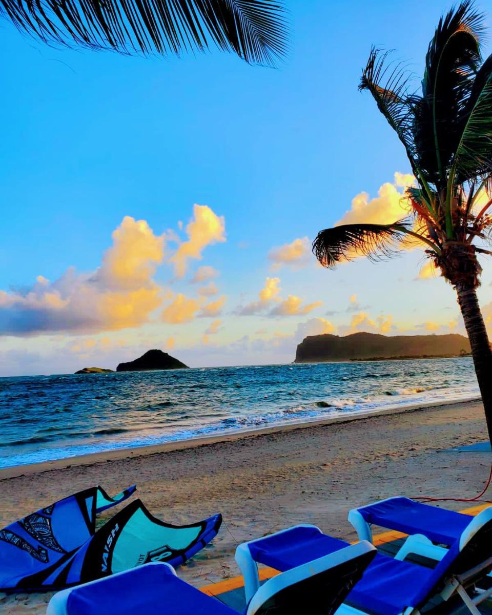 Coconut Bay St Lucia tweet media