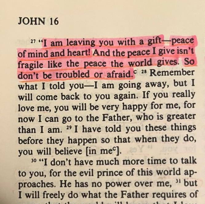 Bible 365 tweet media