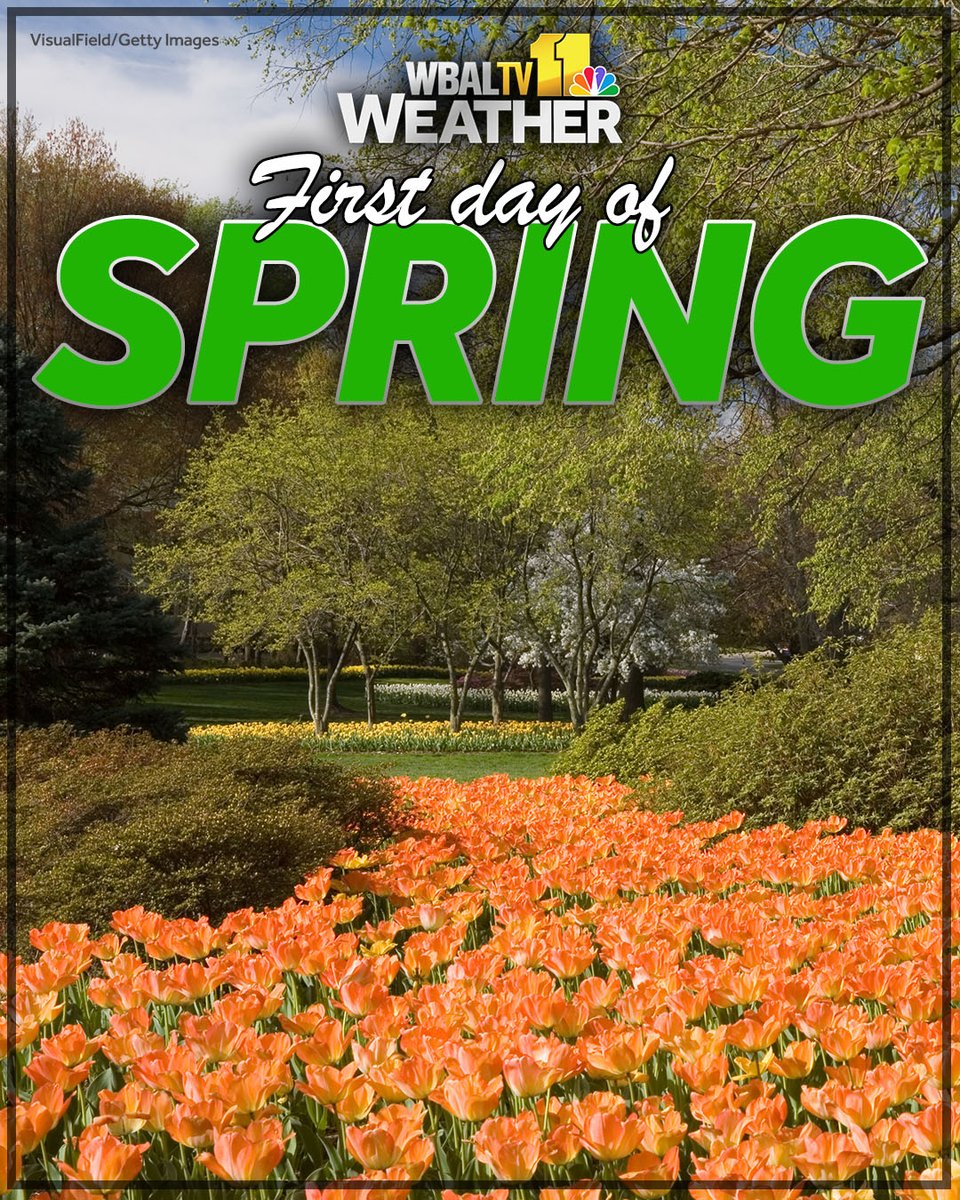 WBAL-TV 11 Baltimore tweet media