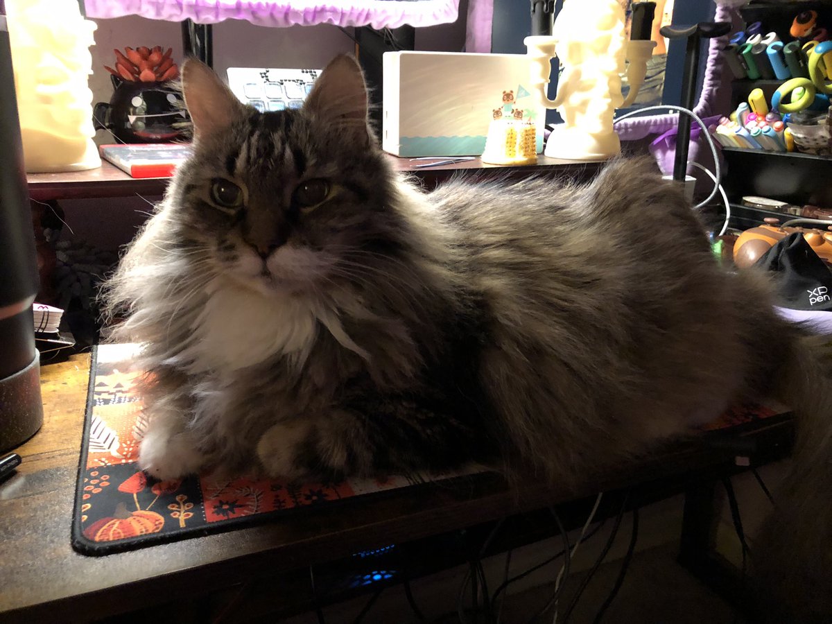 🦇🎃𝖂𝖍𝖎𝖘𝖕𝖊𝖗🎃🦇 tweet media