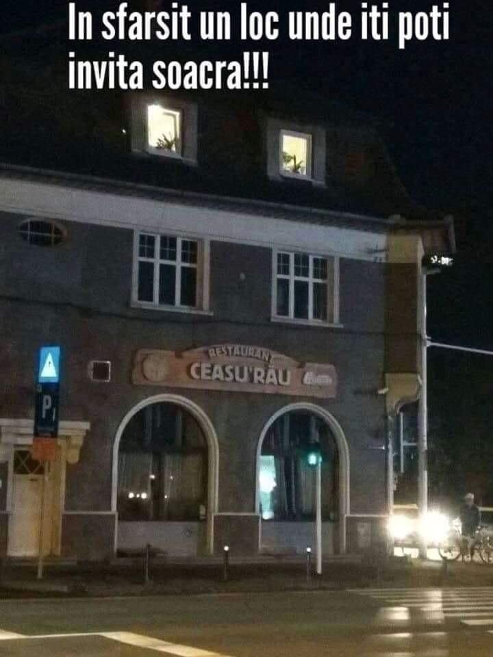 Branzea Constantin tweet media