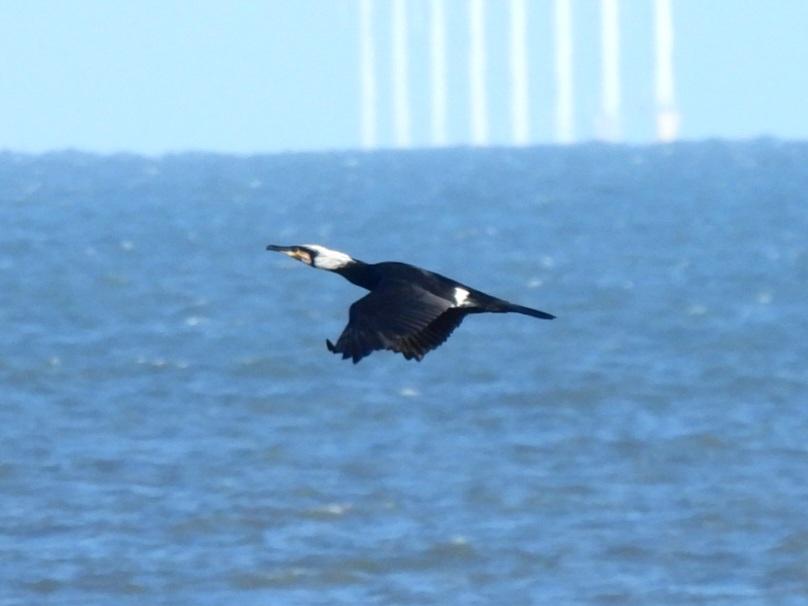 Mark Clements tweet media