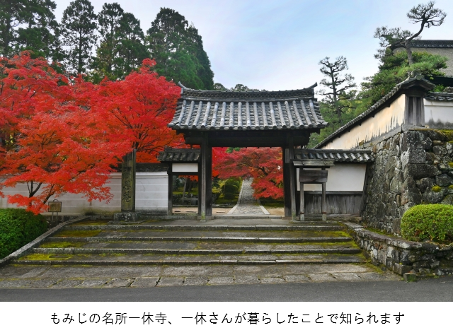 とっち庵 tweet media