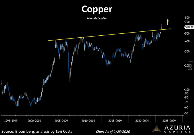 Paola Rojas 🐝 tweet media