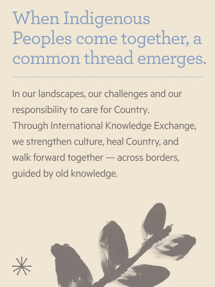 Firesticks tweet media