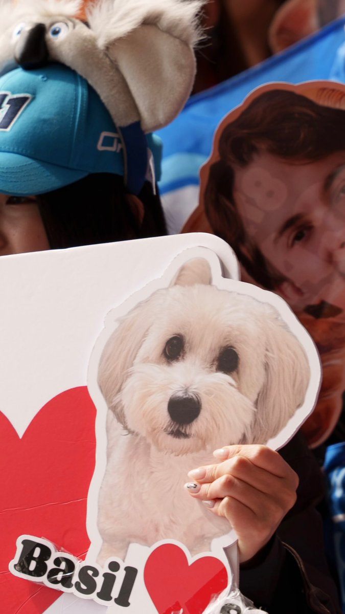 Info Oscar Piastri 🇧🇷 tweet media