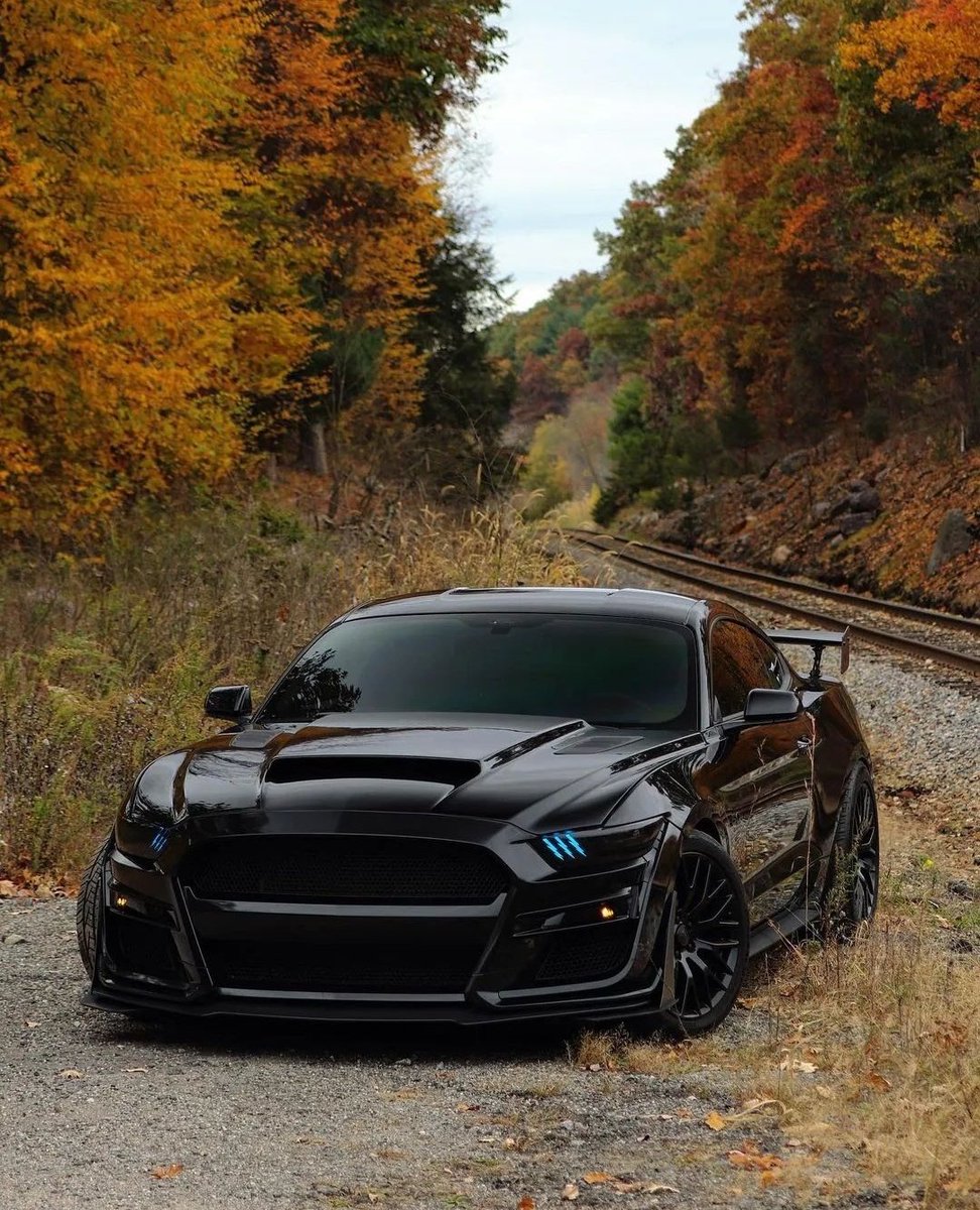 GT500