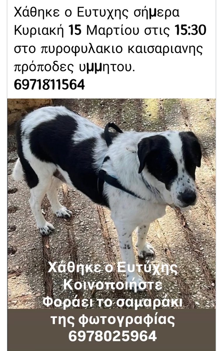 εφη απλα tweet media