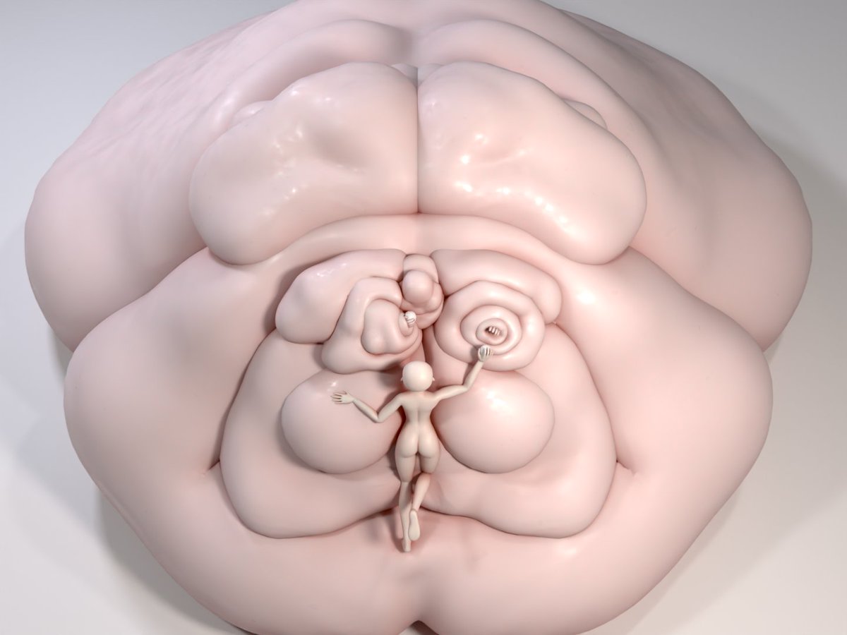 ExtrudedSquared tweet media