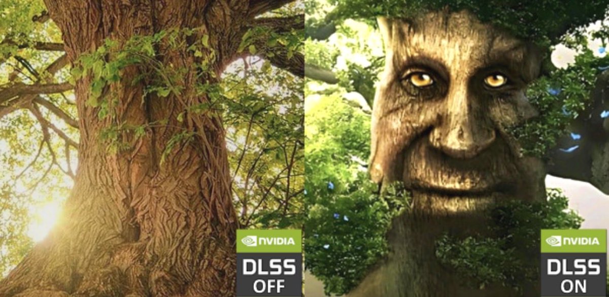 Bryan Araujo tweet media