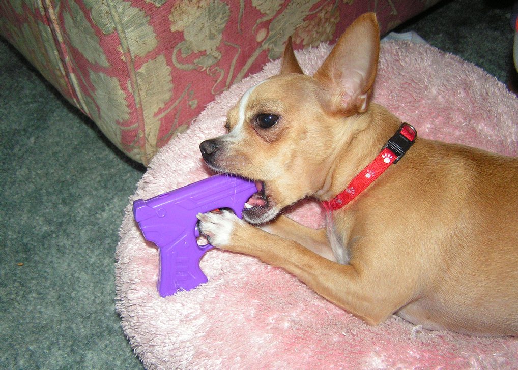 🦾TheOrcosaurus🦾 tweet media