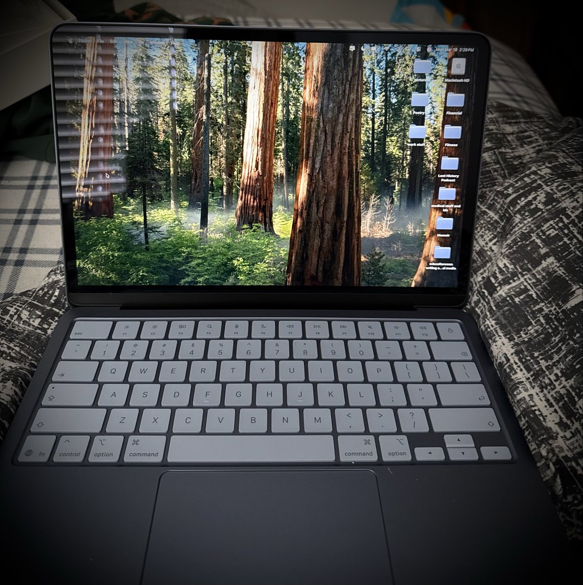 Ryan Norman tweet media