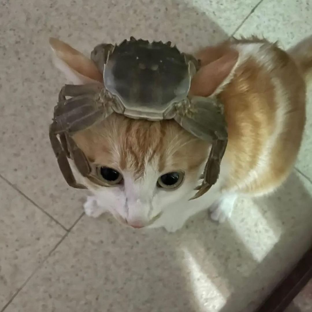 +10 armor