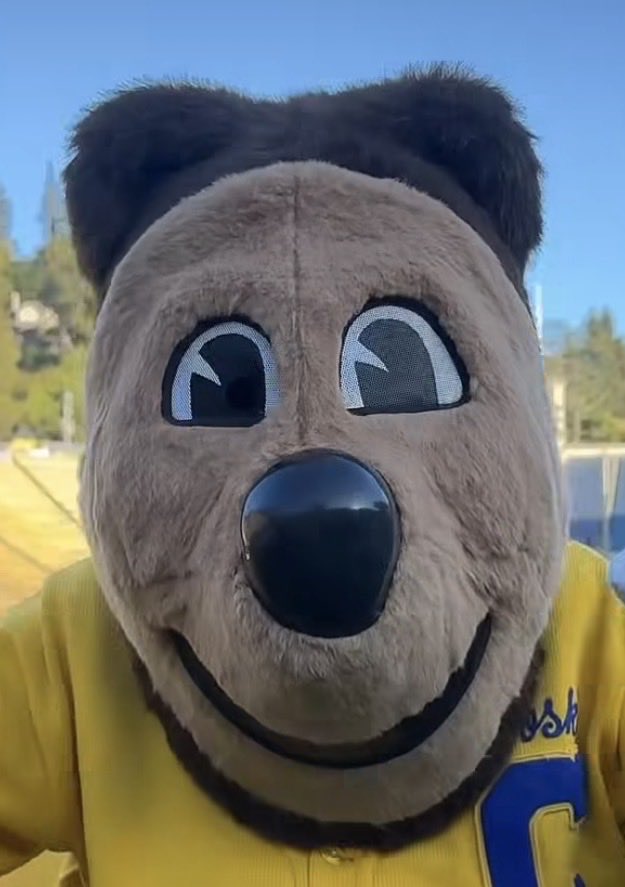 rex volcano tweet media