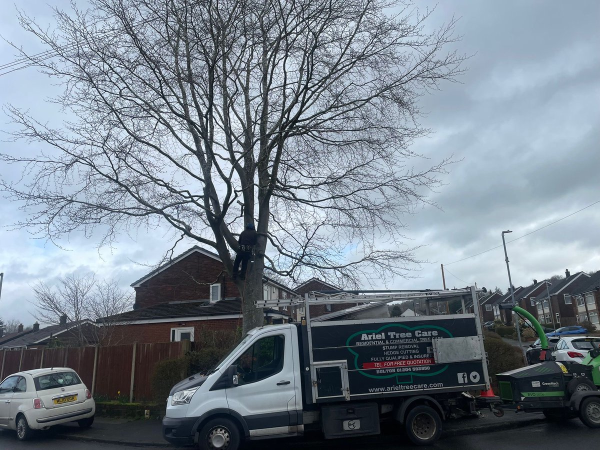 ArielTreeCare's tweet photo. Working on a beech tree today carrying out a crown lift, crown thin and clearance of selective branches away from 2 phone lines.

https://t.co/52nBMrOpvO https://t.co/HqShwu6GDF