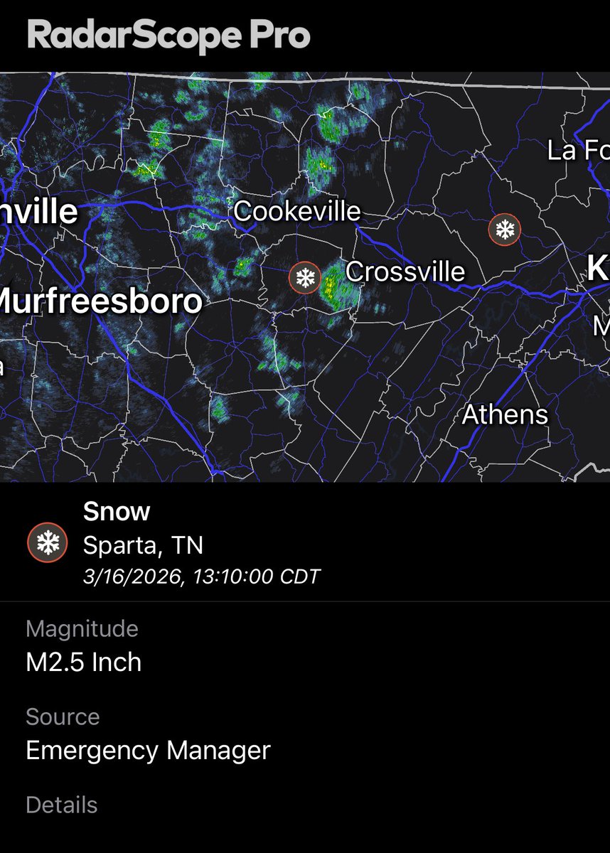 Davis Nolan tweet media