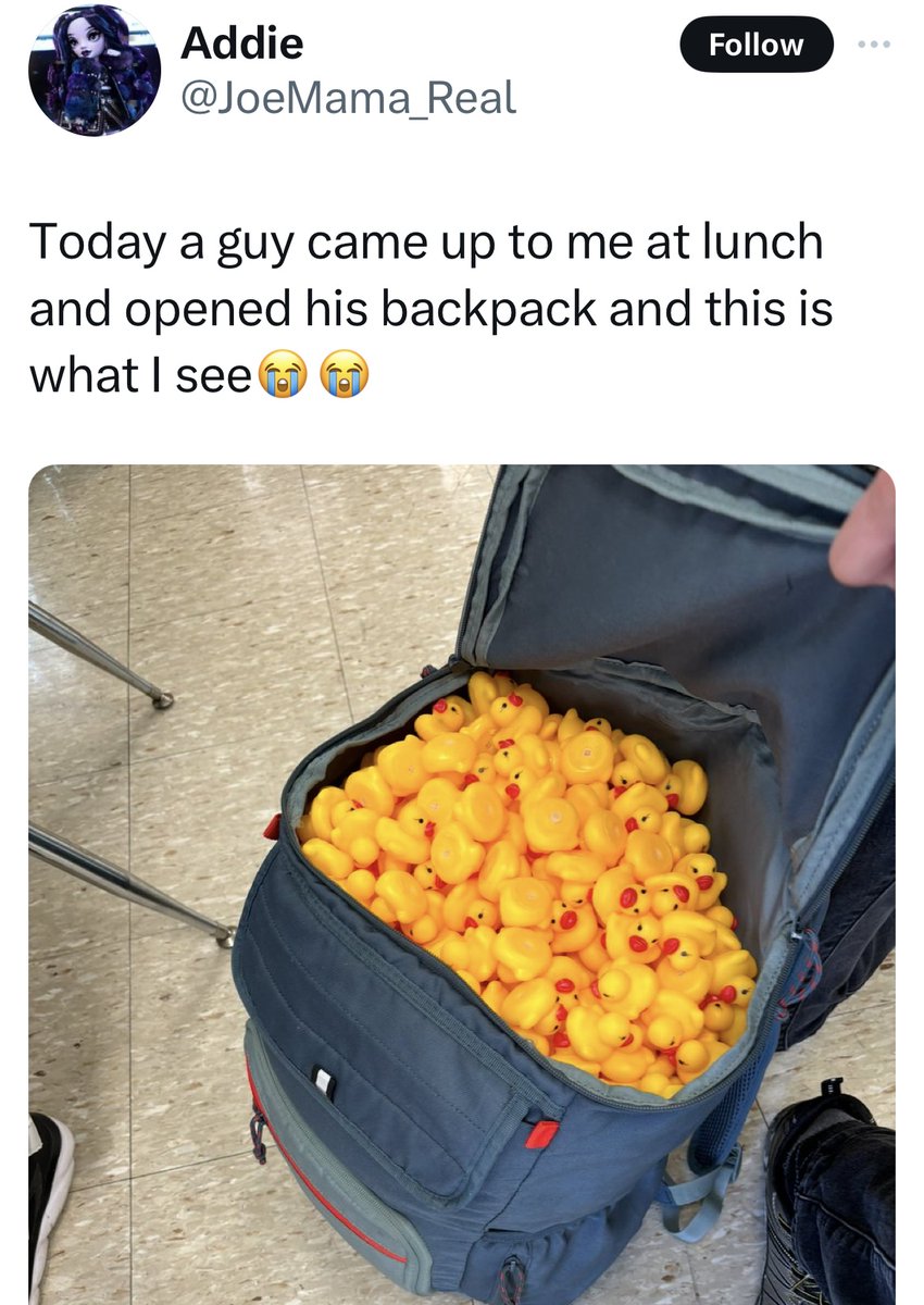 jade 🐑 tweet media