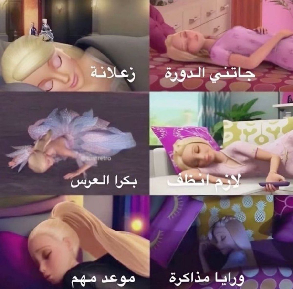 آمنه إلمحّمد (@_ii9i_) on Twitter photo 