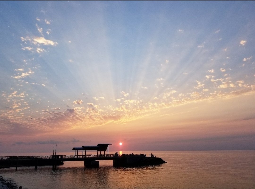 MoonLitSam tweet media