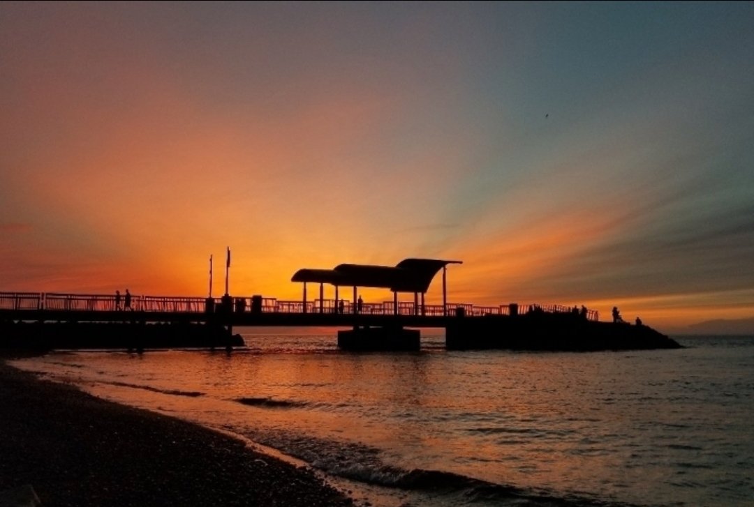 MoonLitSam tweet media