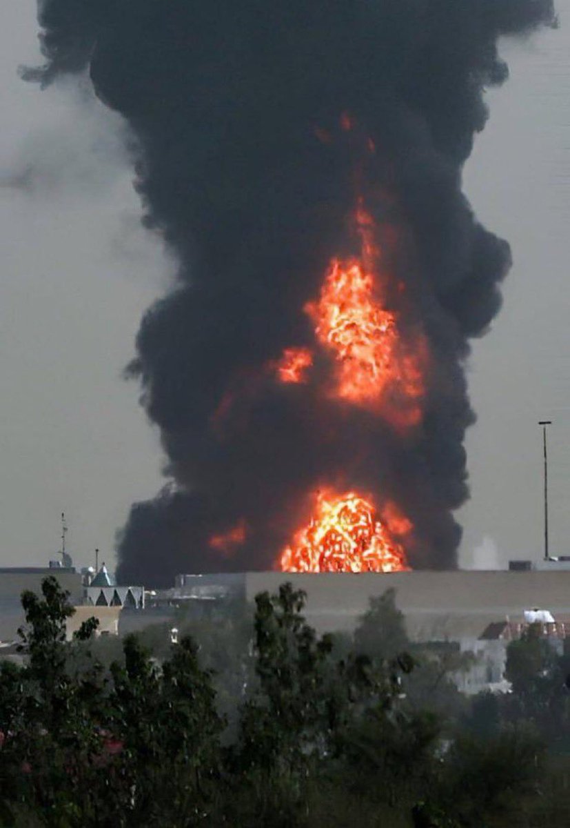 م.. 🐪 tweet media