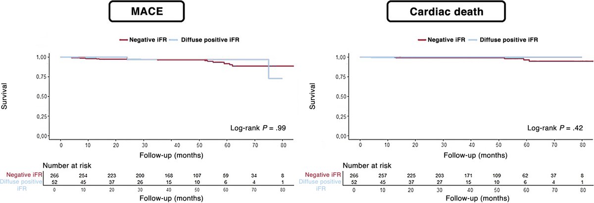 REC Publications tweet media