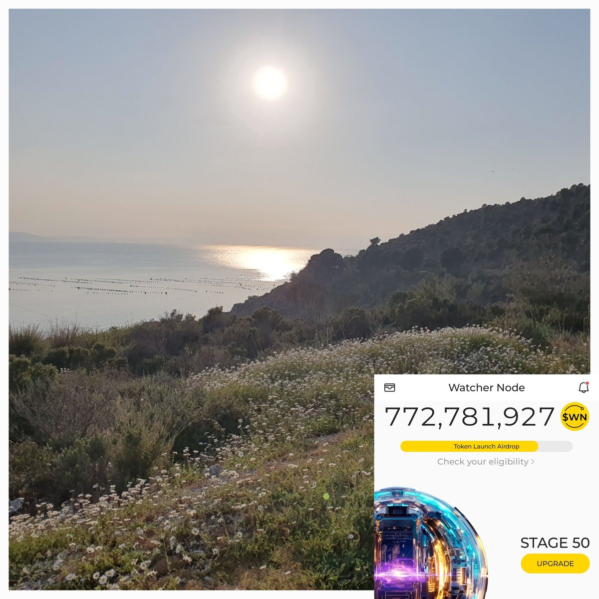 Launching Watcher  to secure <a href="/DeNetPro/">DeNet</a> storage network. Live from Armutlu, Bursa, Turkey! #WatchersEverywhere