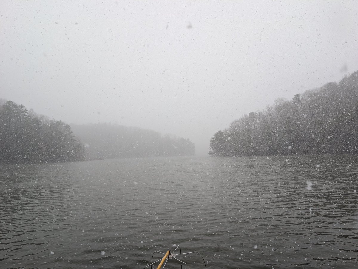 Walleye broodstock collection in snow squalls: 1/10, would not recommend. But at least we picked up some fish. 
Water temps were running in the low 50s, and we weren't seeing many bass in shallow.