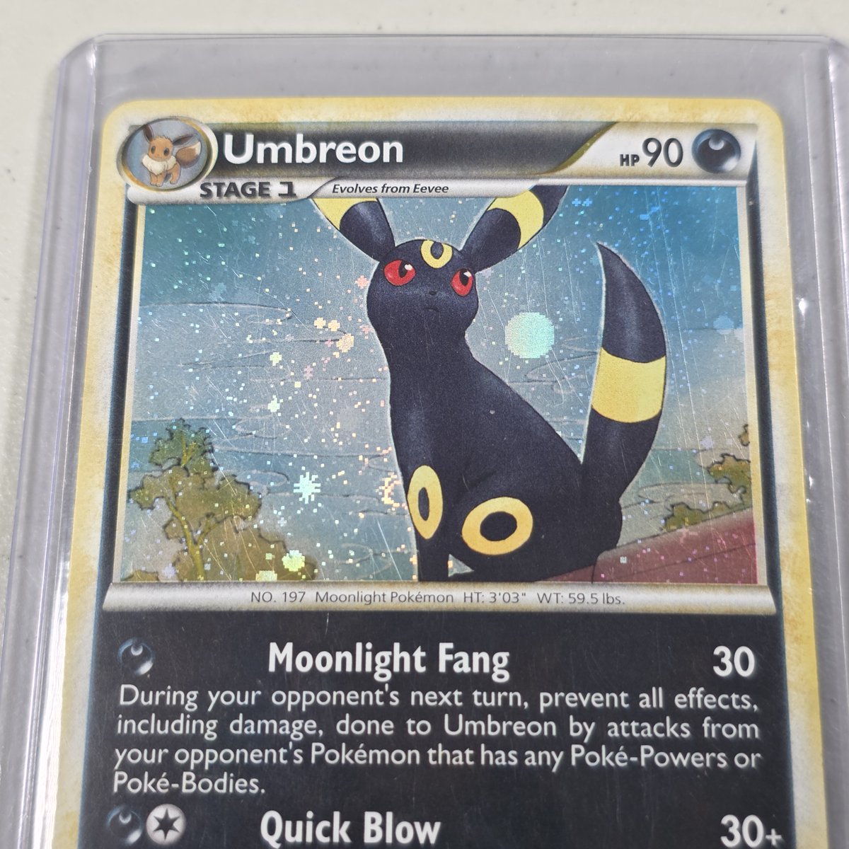 Were In Stock tweet media