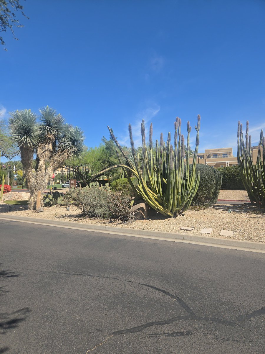 Don Kovic tweet media