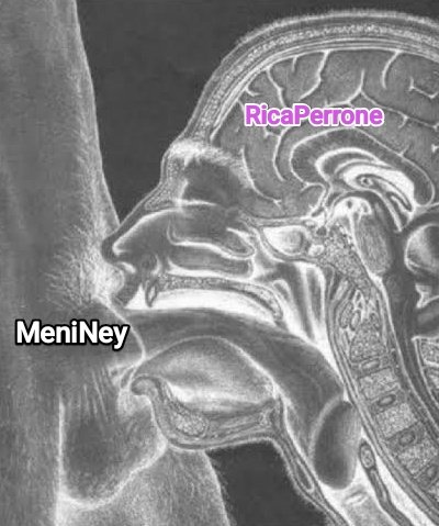 Eu tenho medo do Jumar 🎶 ⓟ 💚🐷 tweet media