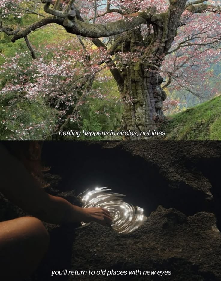 Mindset insider 🌟 tweet media