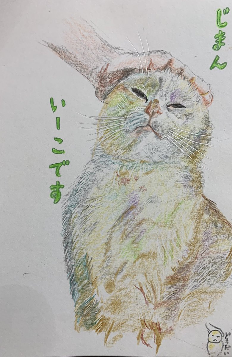 自慢の
いいこでした