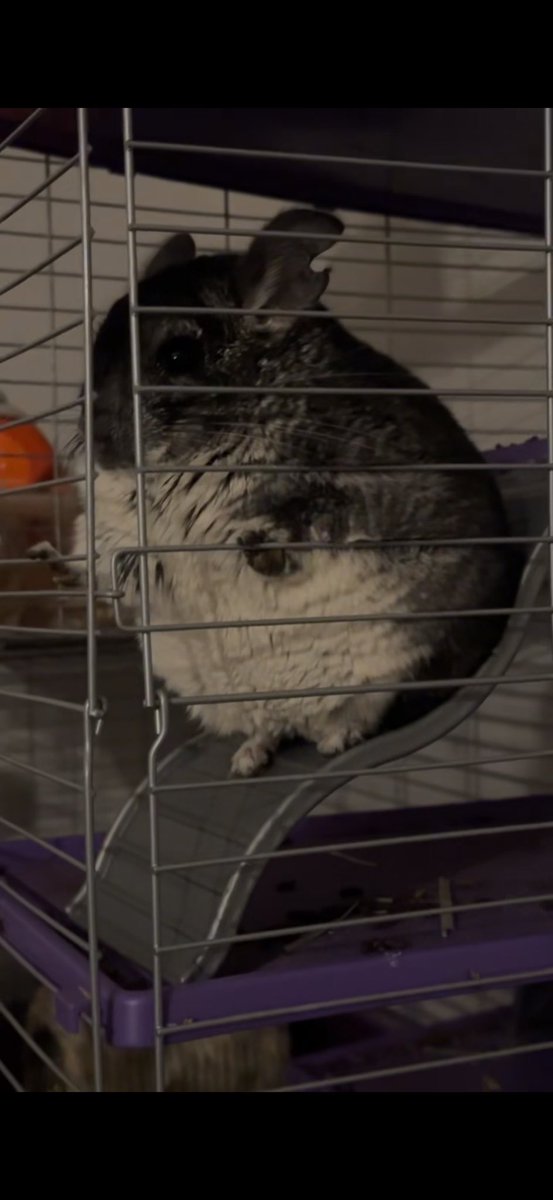 BannedFromNASA tweet media