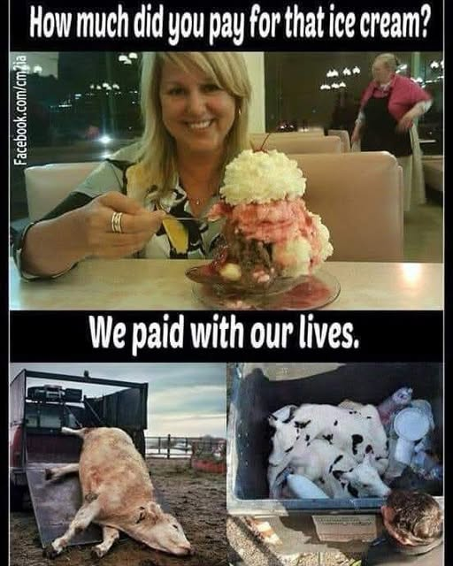 Josh Lumley tweet media